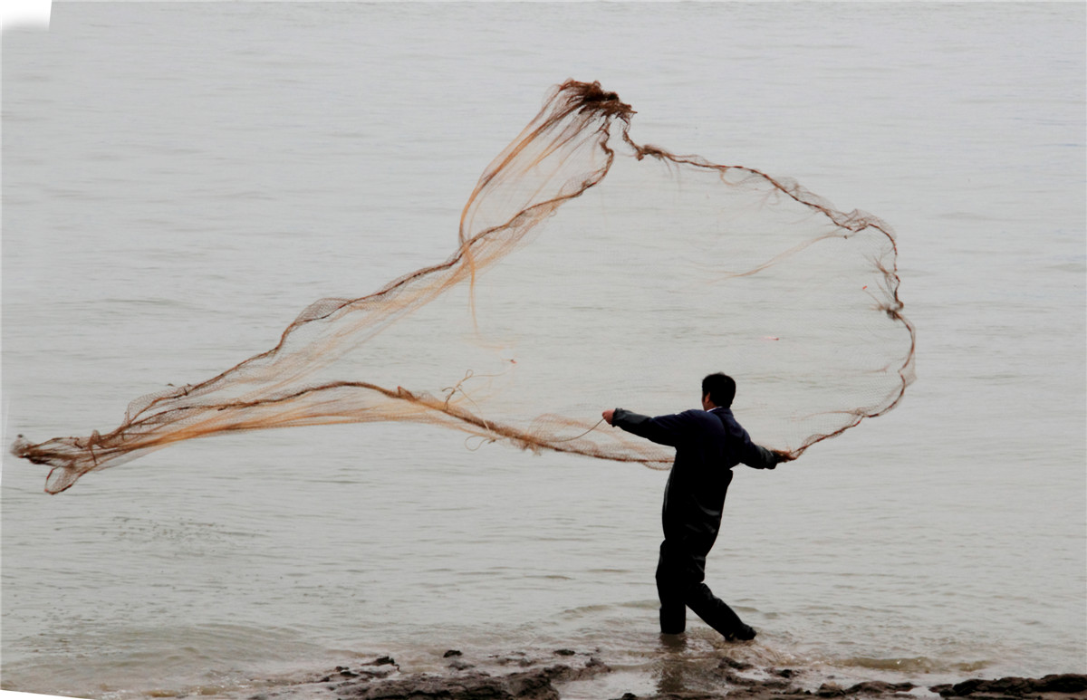 ���� (2).jpg