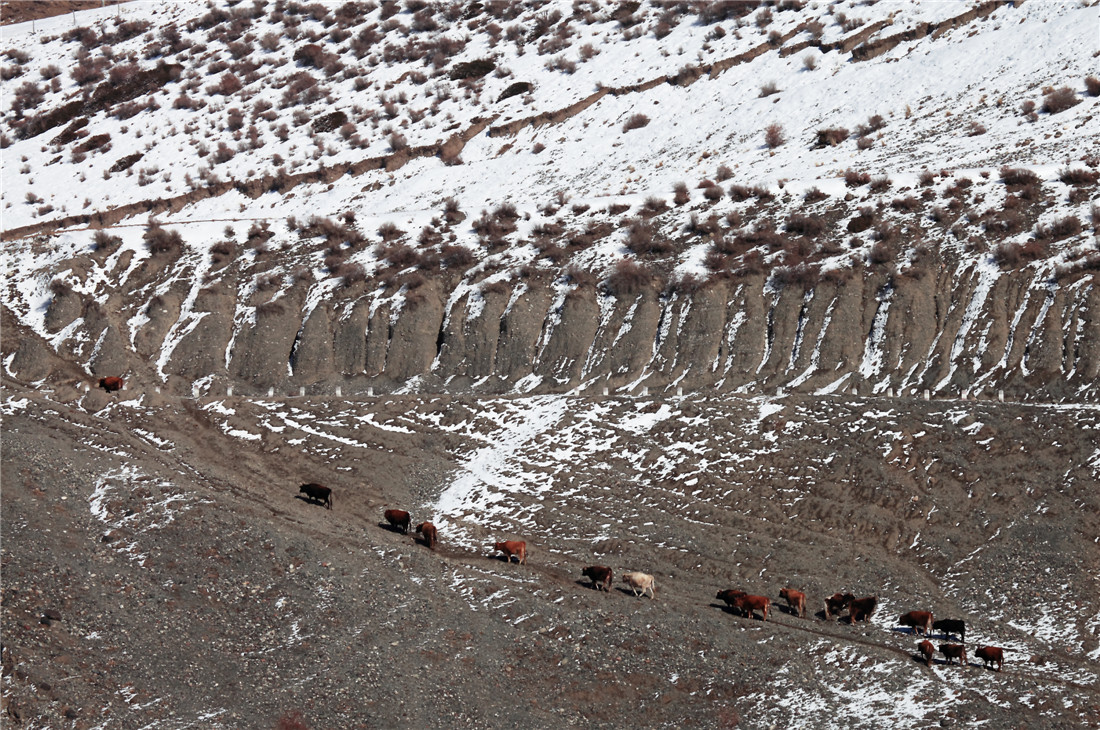 ���� (5).jpg