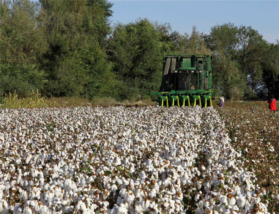 �����ջ��޻� (1).jpg