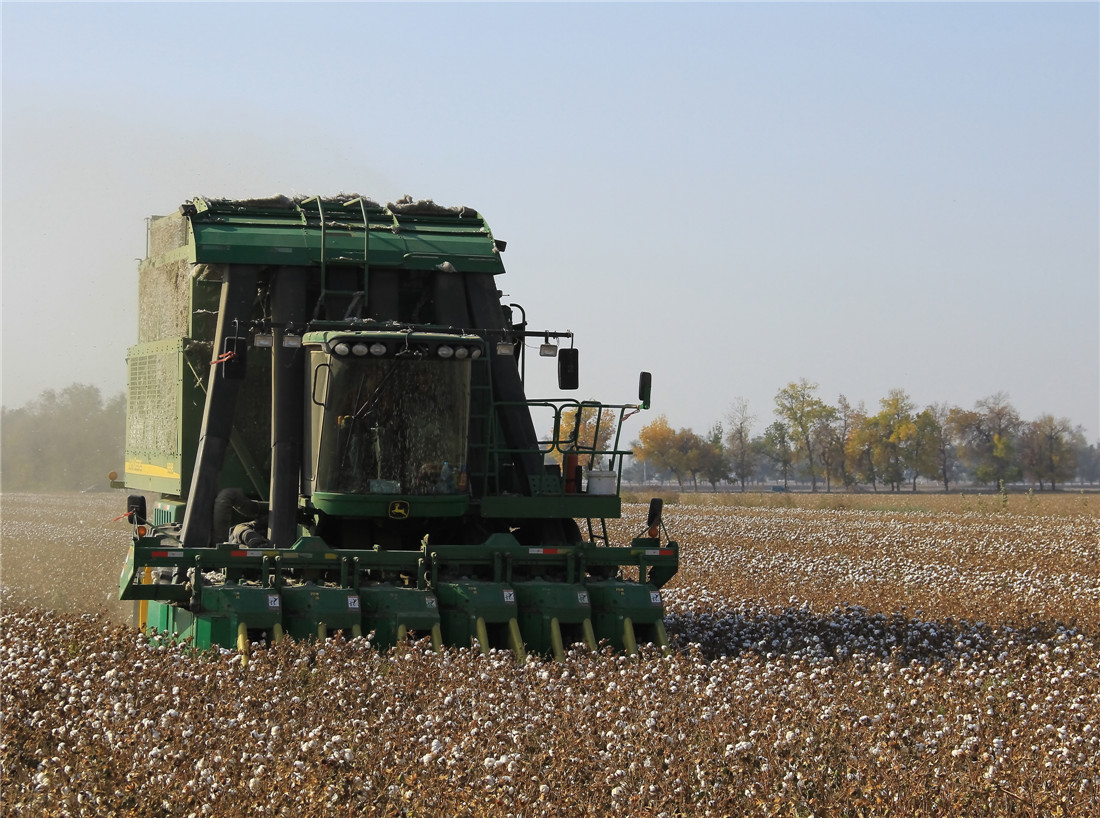 �����ջ��޻� (2).jpg