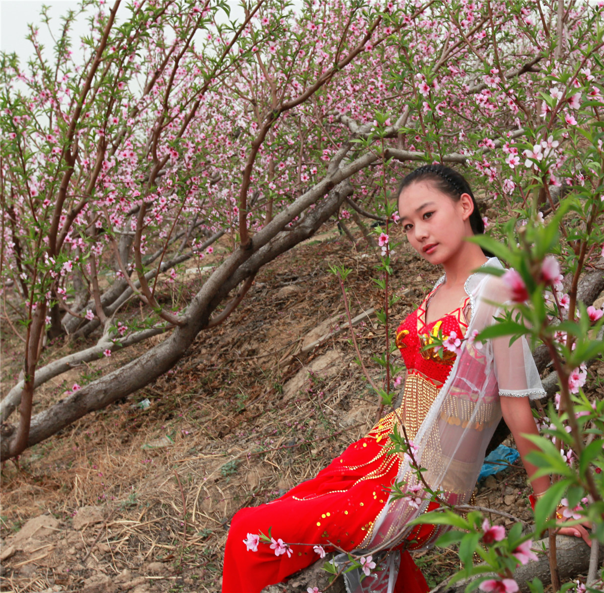 �����һ� (2).jpg