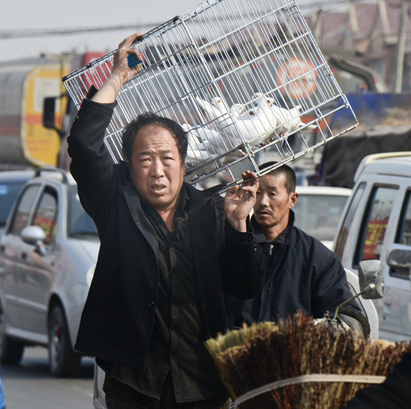 2014��3��20����Ƭ ����19712.jpg