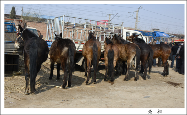 2014��3��20����Ƭ ����23812.jpg