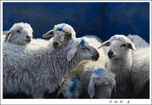 2014��3��20����Ƭ ����25612.jpg