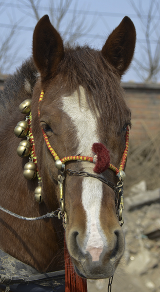 ��ת ��ת 2014��3��20����Ƭ���� 22712.jpg
