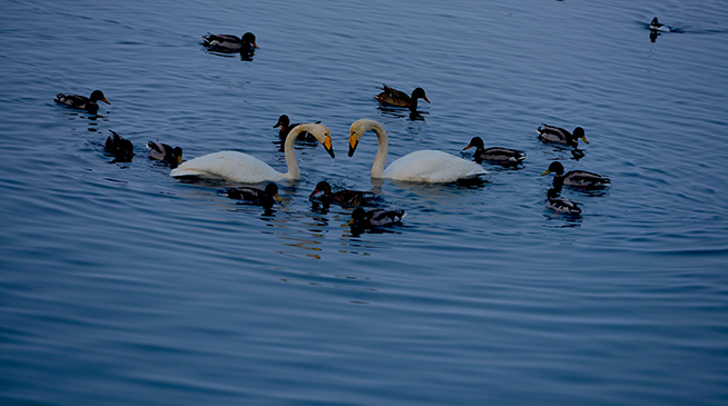 �������������