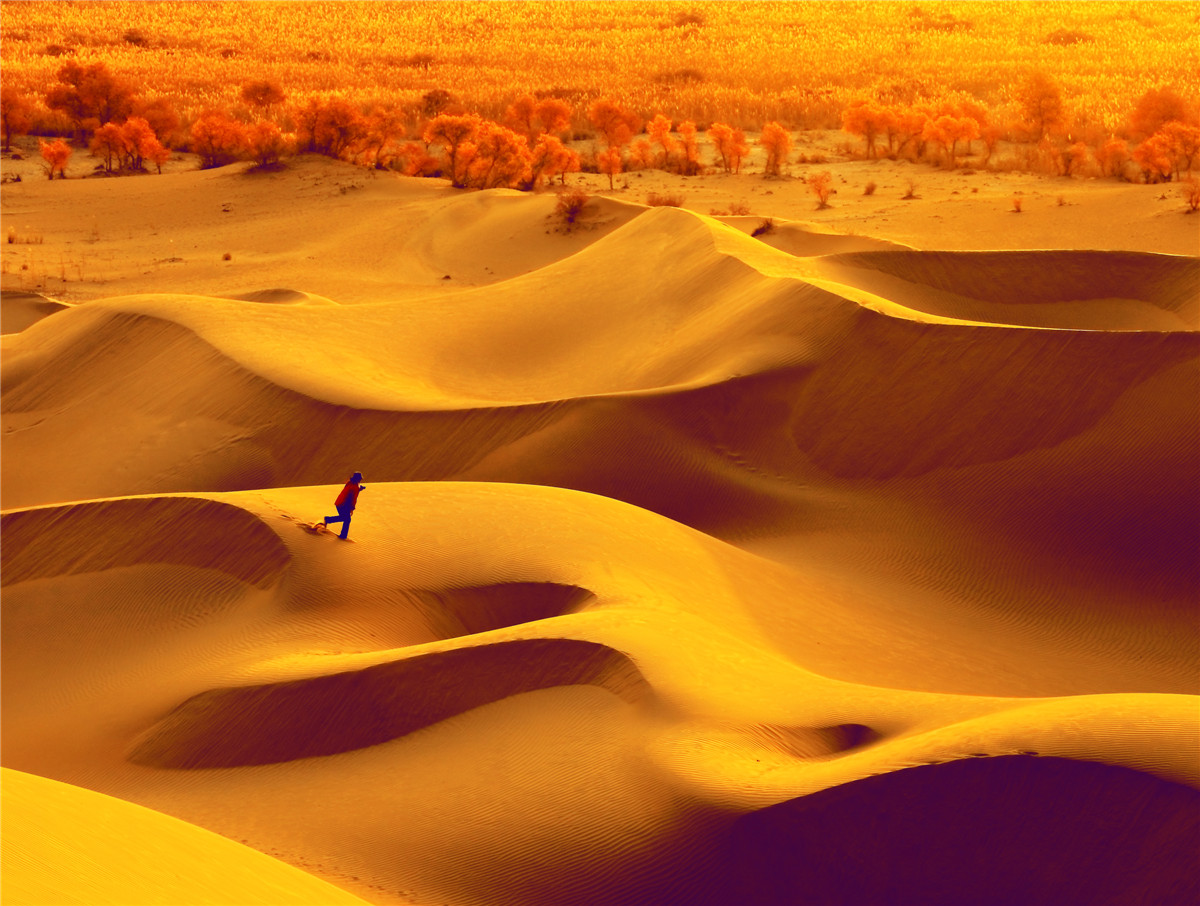 ������Ӱ�� (1).jpg