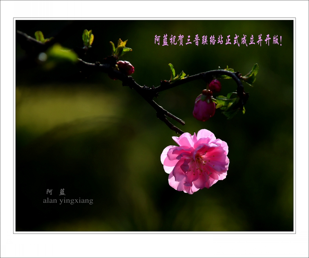 ��Ƭ 270_conew4.jpg