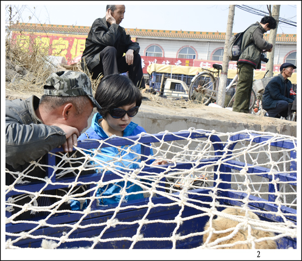 2014��3��20����Ƭ 3022.jpg