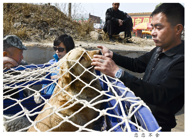 2014��3��20����Ƭ ����30912.jpg