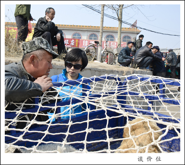 2014��3��20����Ƭ ����30412.jpg