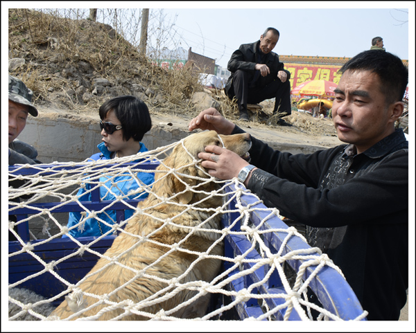 2014��3��20����Ƭ ����30712.jpg