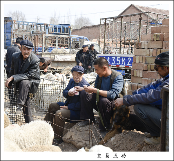 2014��3��20����Ƭ ����27712.jpg