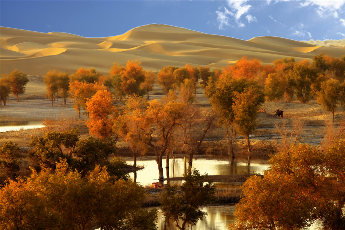 �߽������� (1).jpg