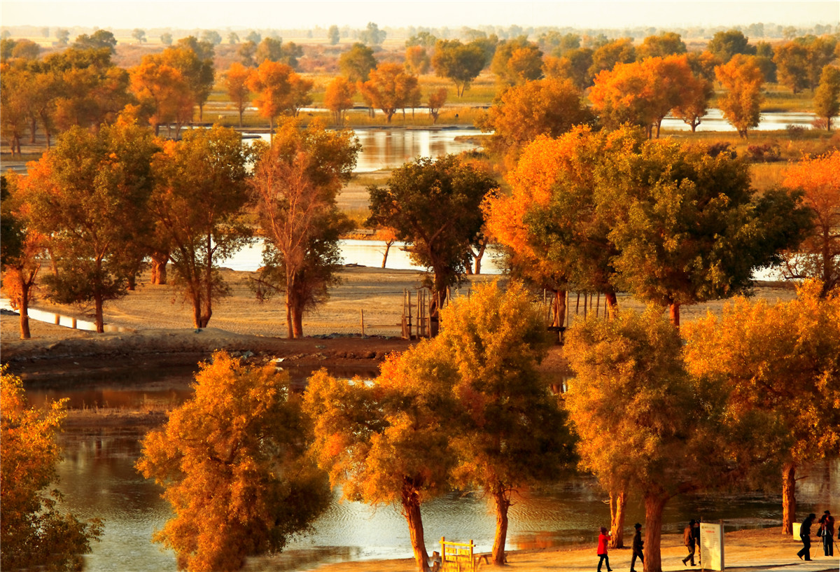 �߽������� (2).jpg