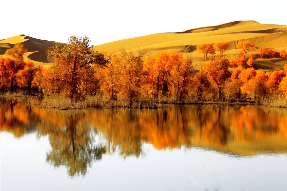 ���� (2).jpg