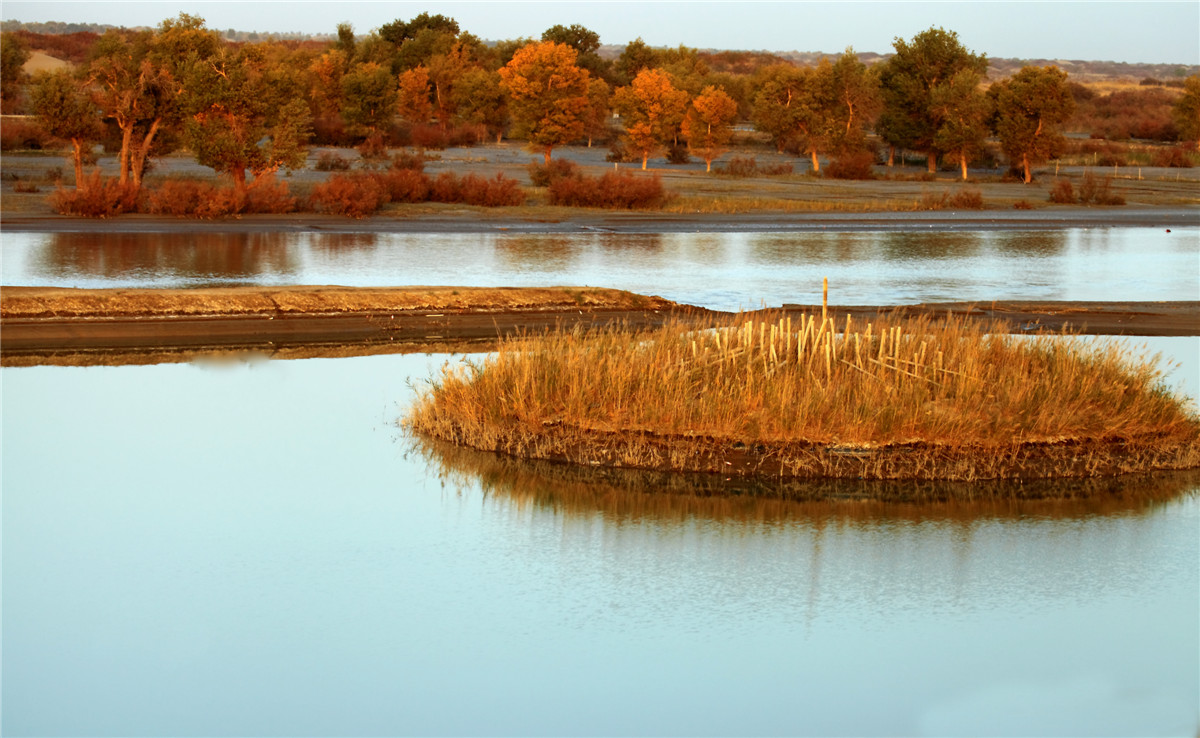 ���� (5).jpg