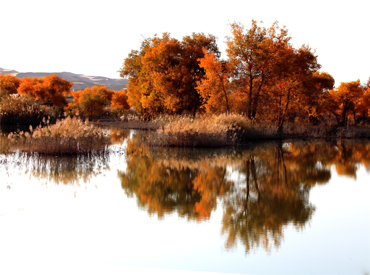 ���� (3).jpg