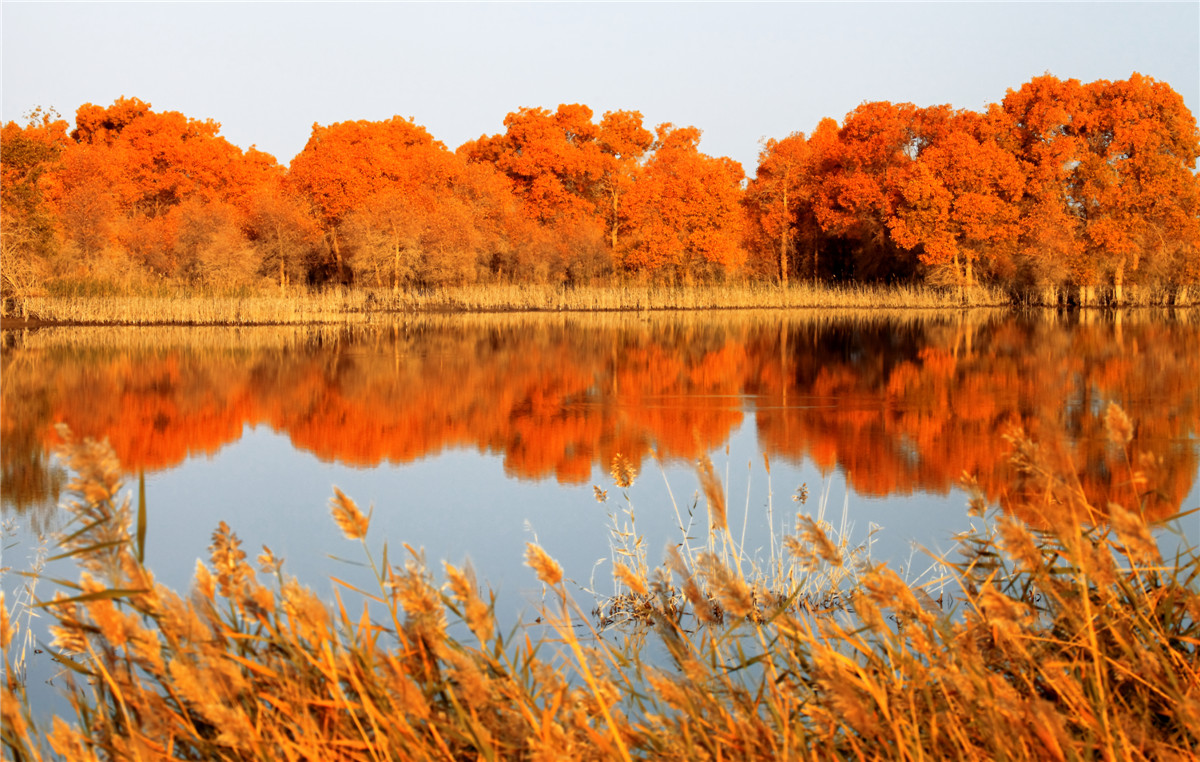 ���� (4).jpg