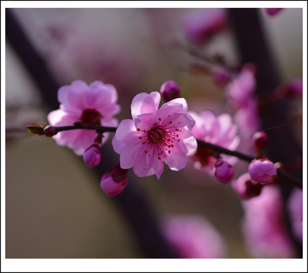 2014��3��230�ո��� 02012.jpg