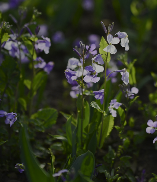 ��ת ��ת 2014��3��230�ո��� 00612.jpg