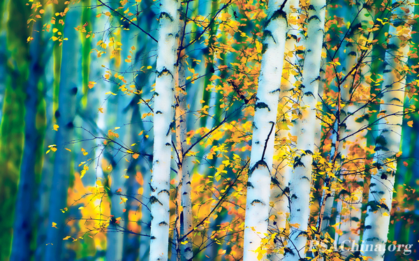 17.��־����Ʒ�����λû��֡�Dream Waring.jpg