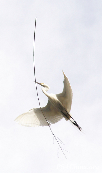 16.�������Ʒ������ҡ�Go home.jpg