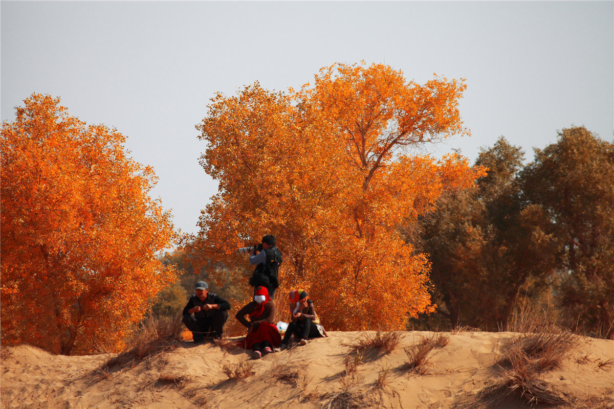 ������ (4).jpg