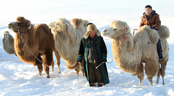 ��;�ĸ���