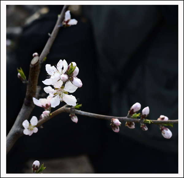 2014��3��30�����ֹ����� 03512.jpg