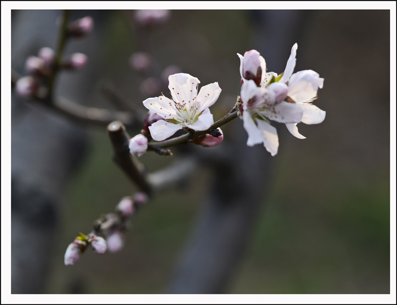 2014��3��30�����ֹ����� 04712.jpg