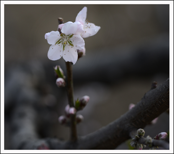 2014��3��30�����ֹ����� 04312.jpg