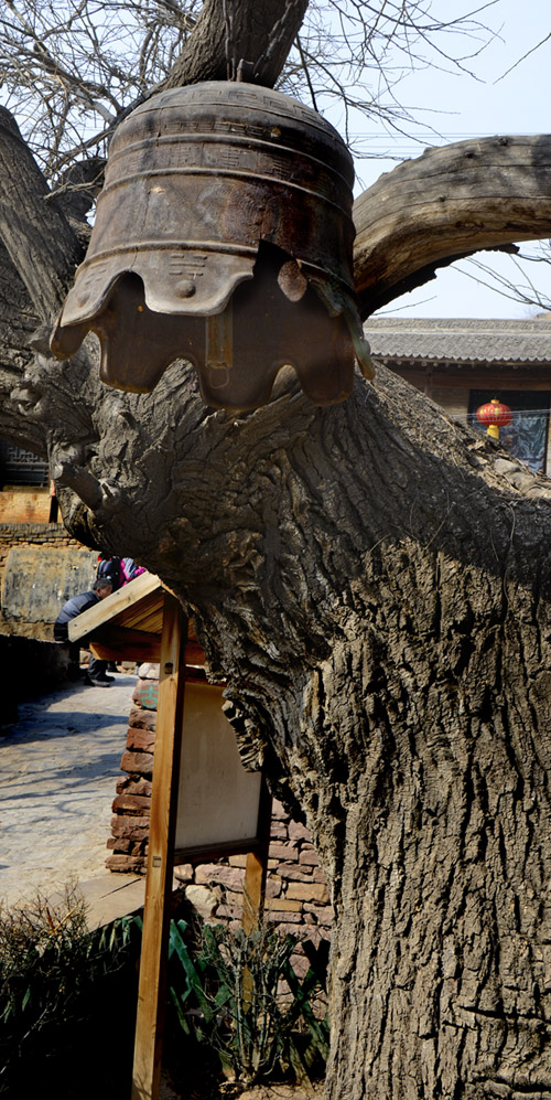 2014��3��20����Ƭ���� 32512.jpg