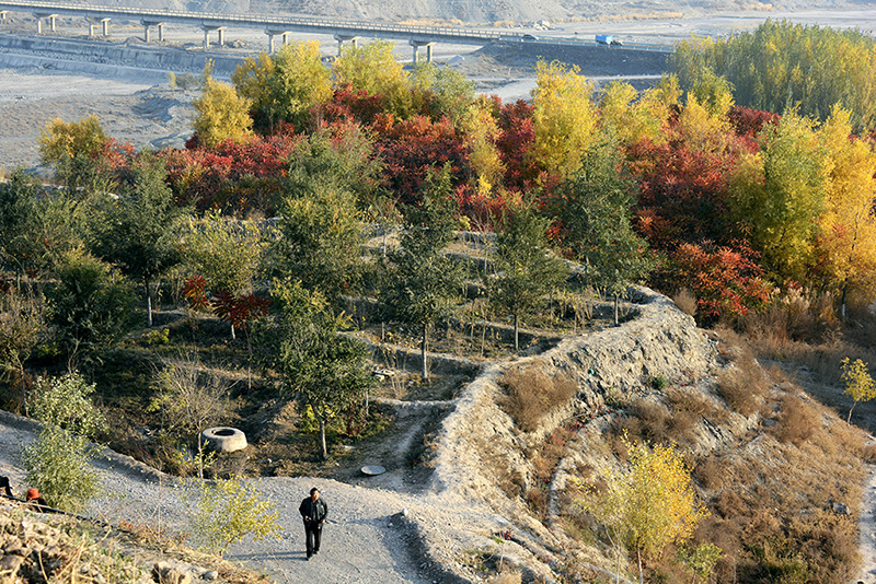 ��ӹ�԰ 190a.jpg