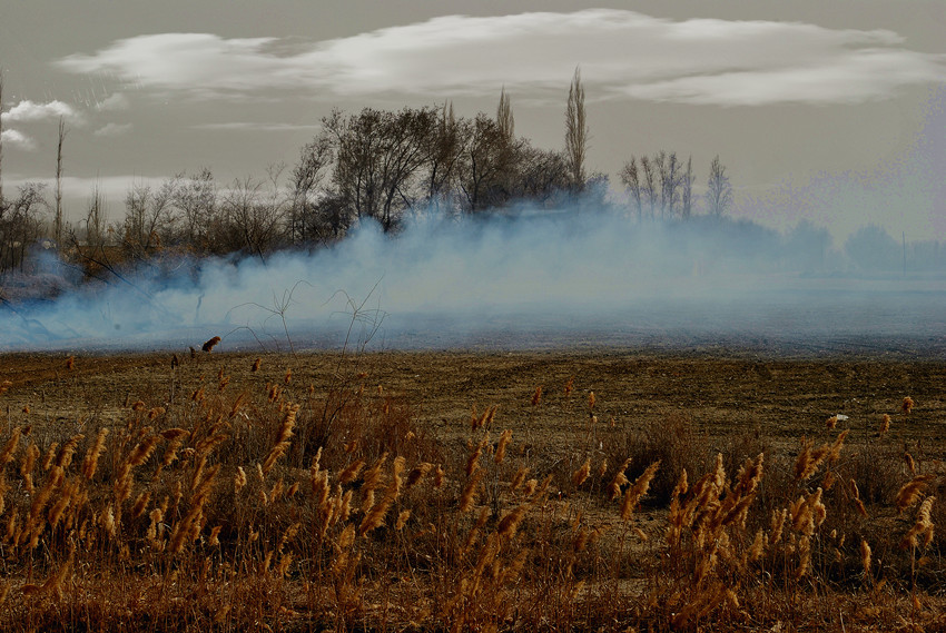 ��Ƭ 003_����.jpg