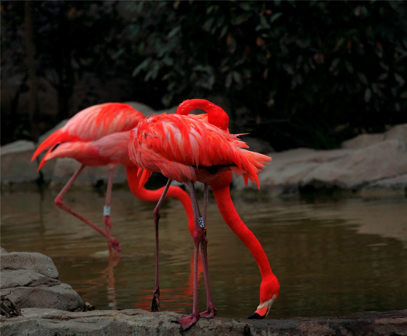 һ���� (1).jpg