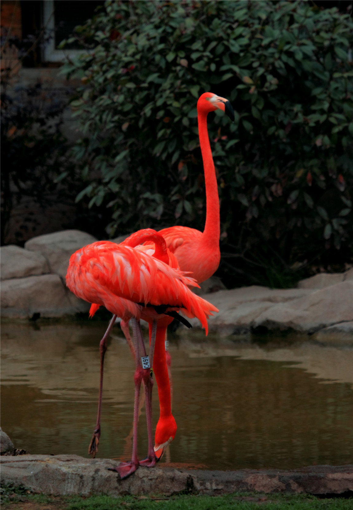 һ���� (3).jpg