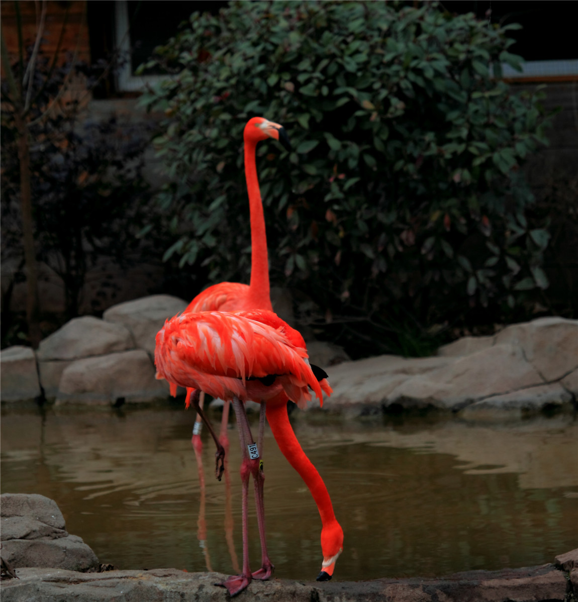 һ���� (2).jpg