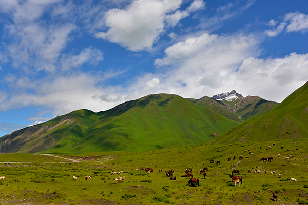 �Ƕ�����