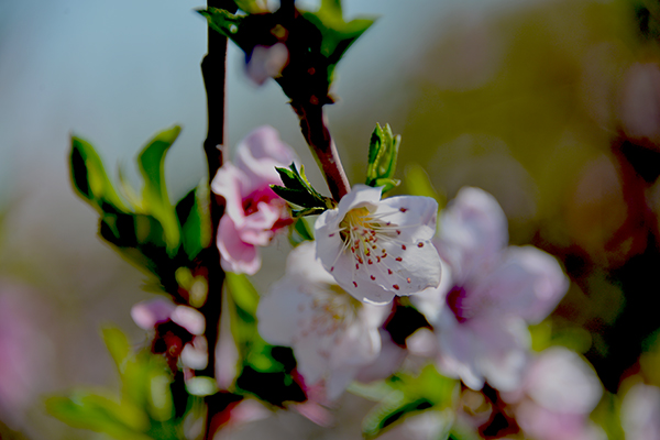 ���︴�գ��һ�����