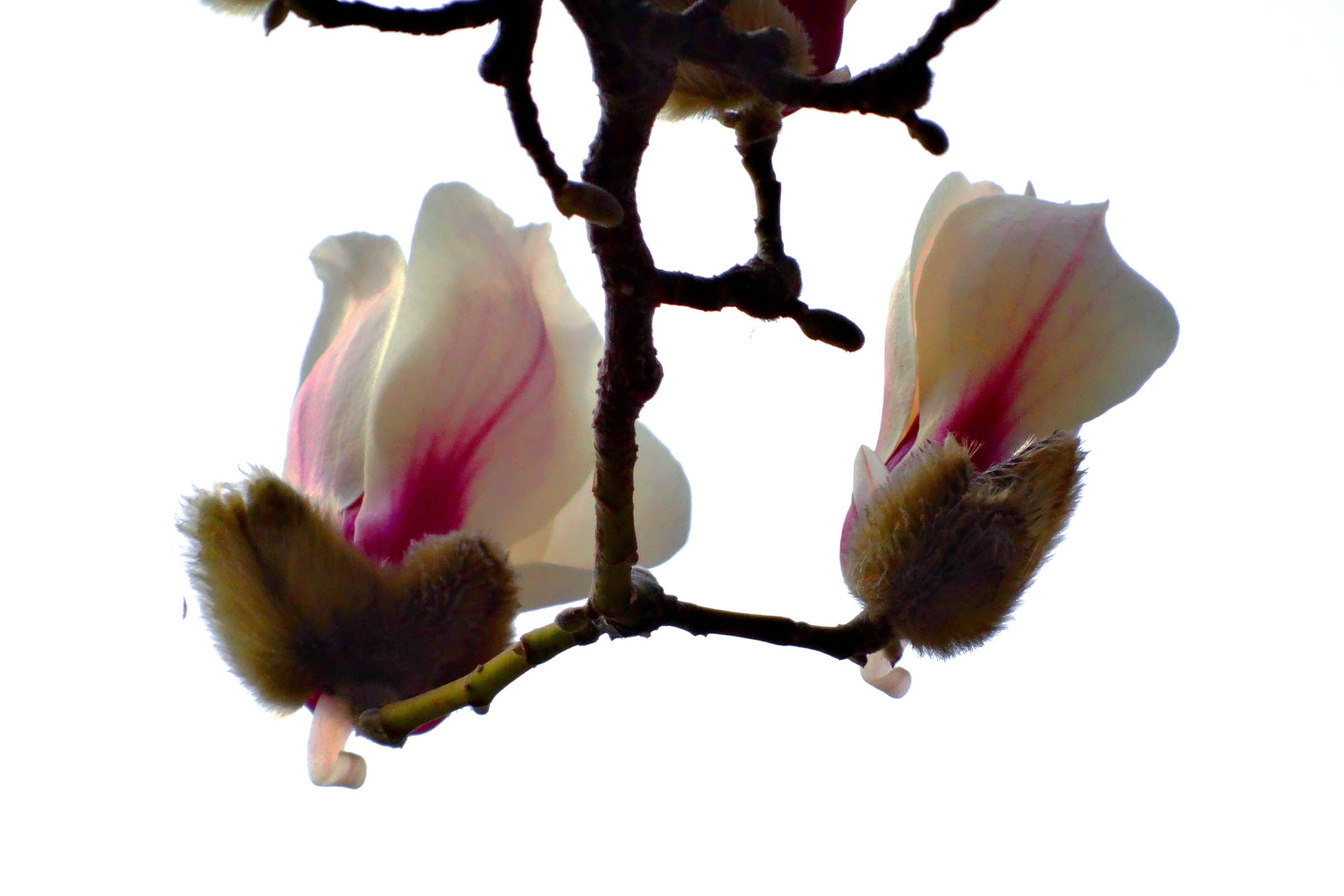 �������� (2).jpg