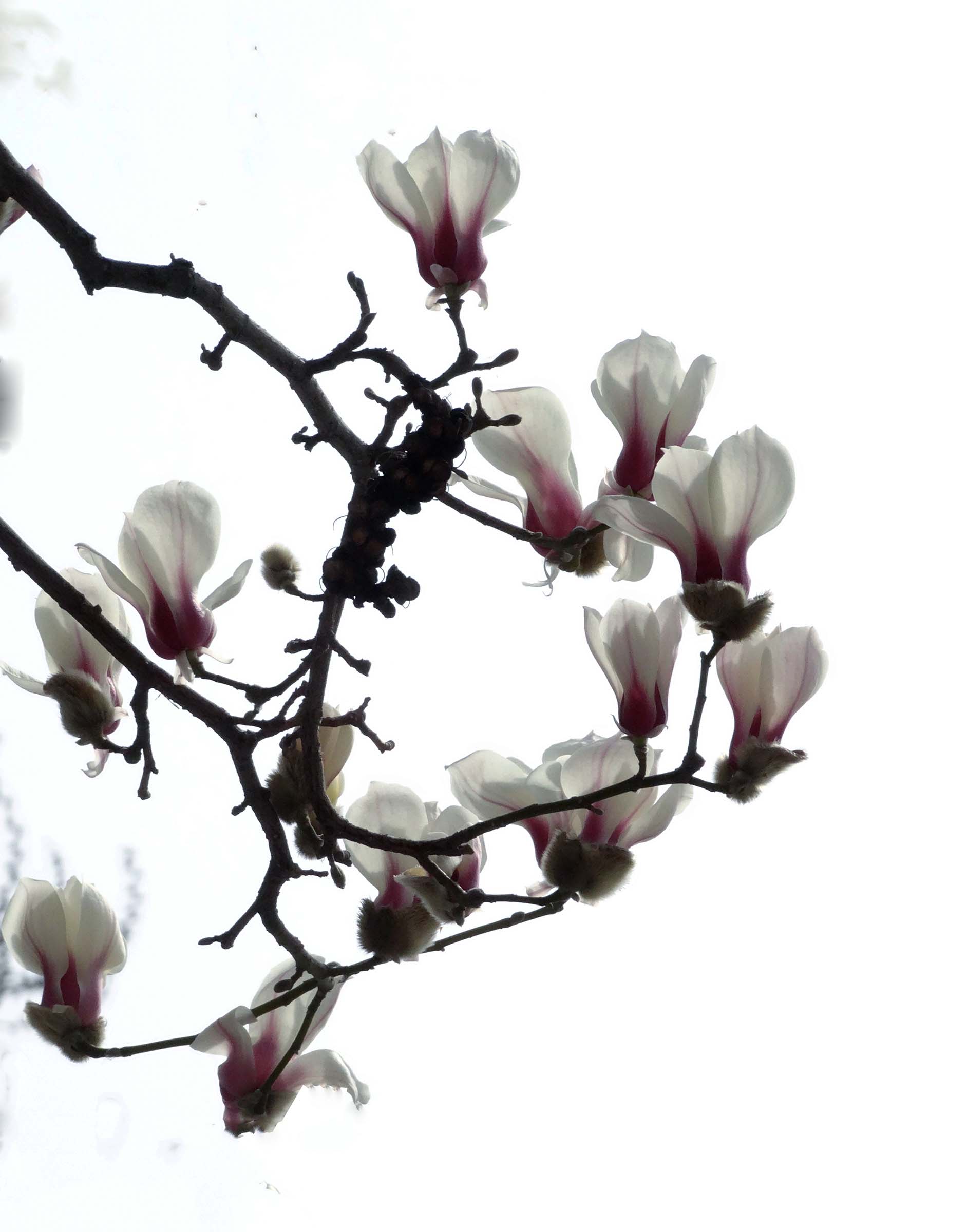 �������� (3).jpg