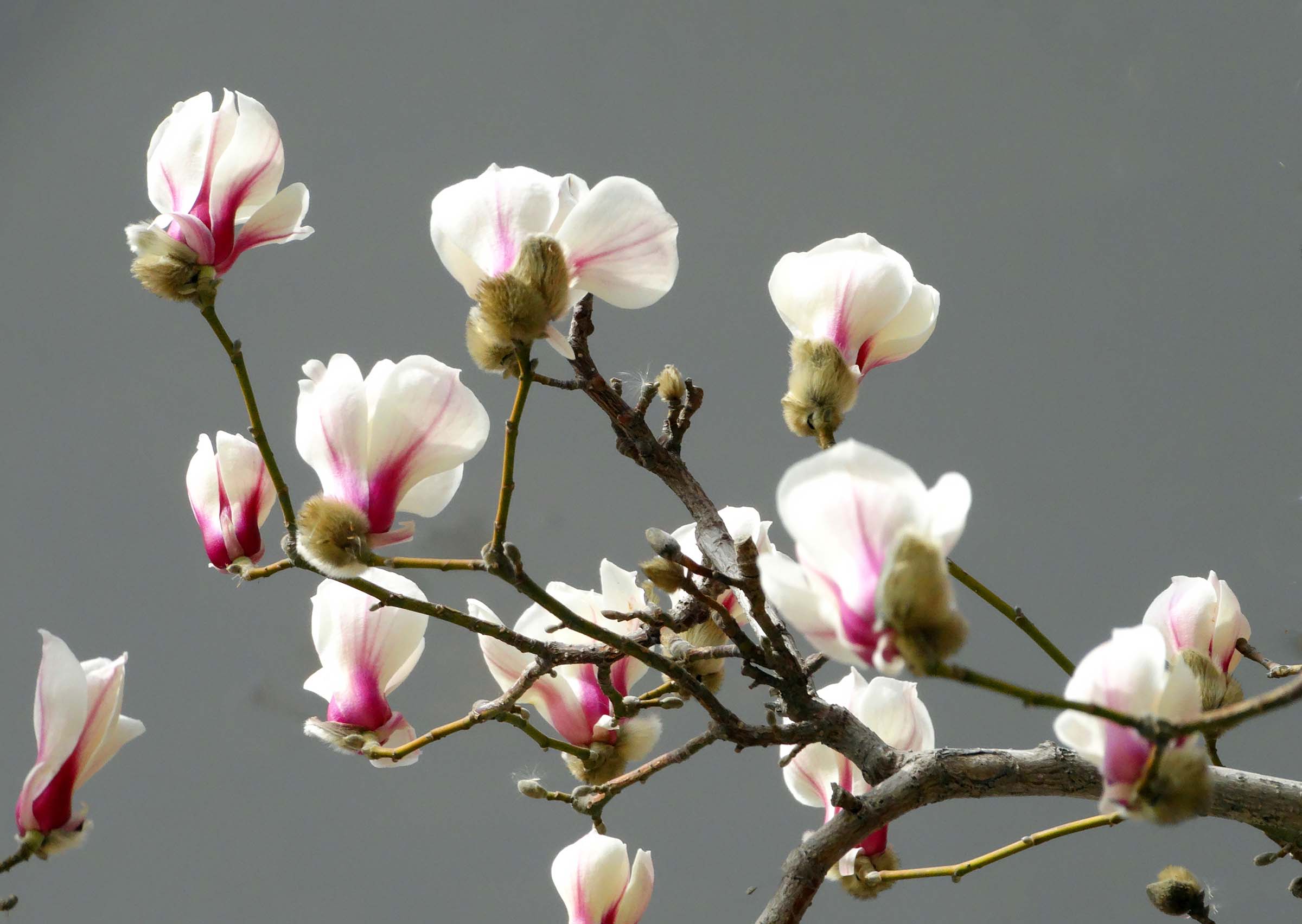 �������� (5).jpg