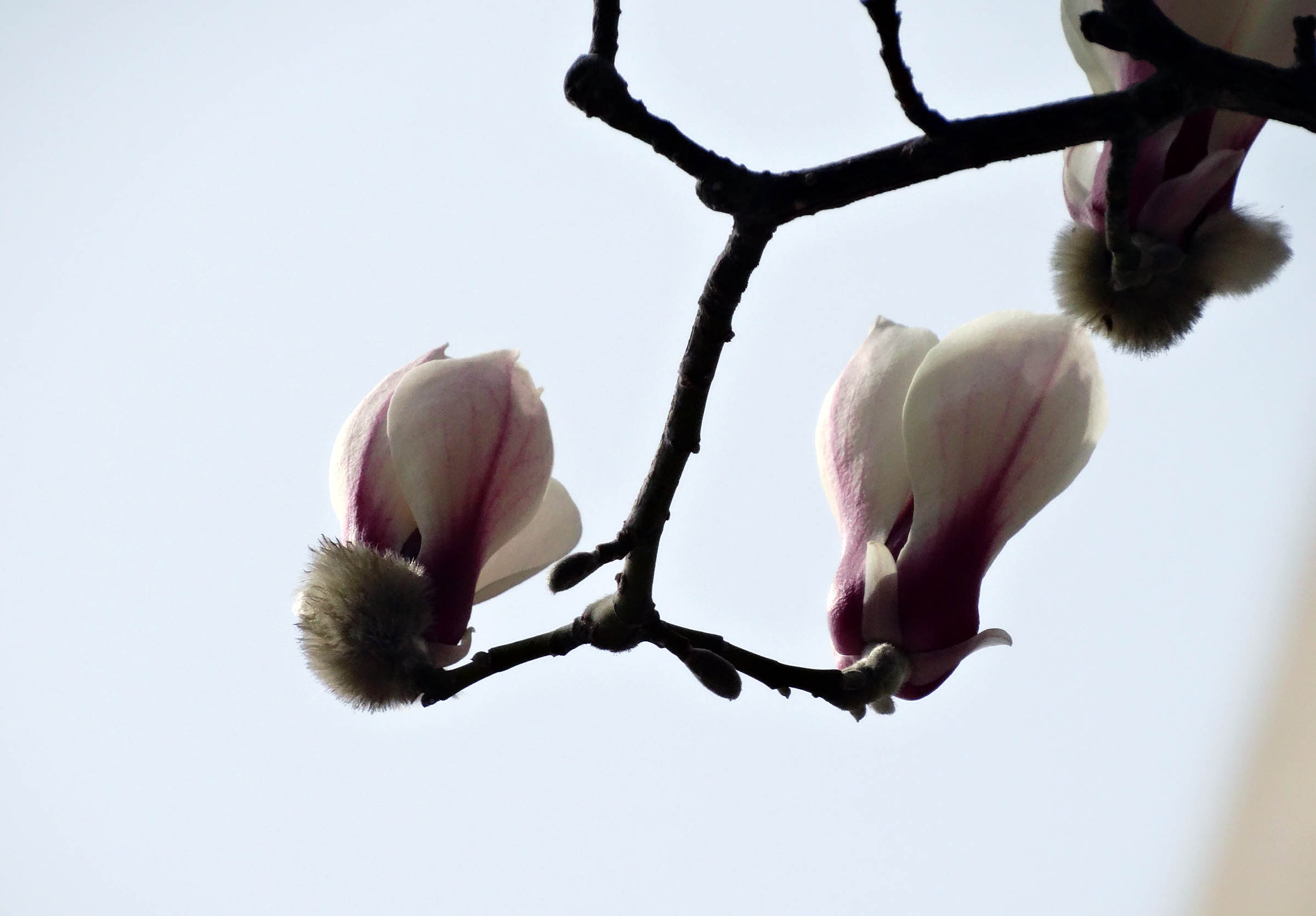 �������� (7).jpg