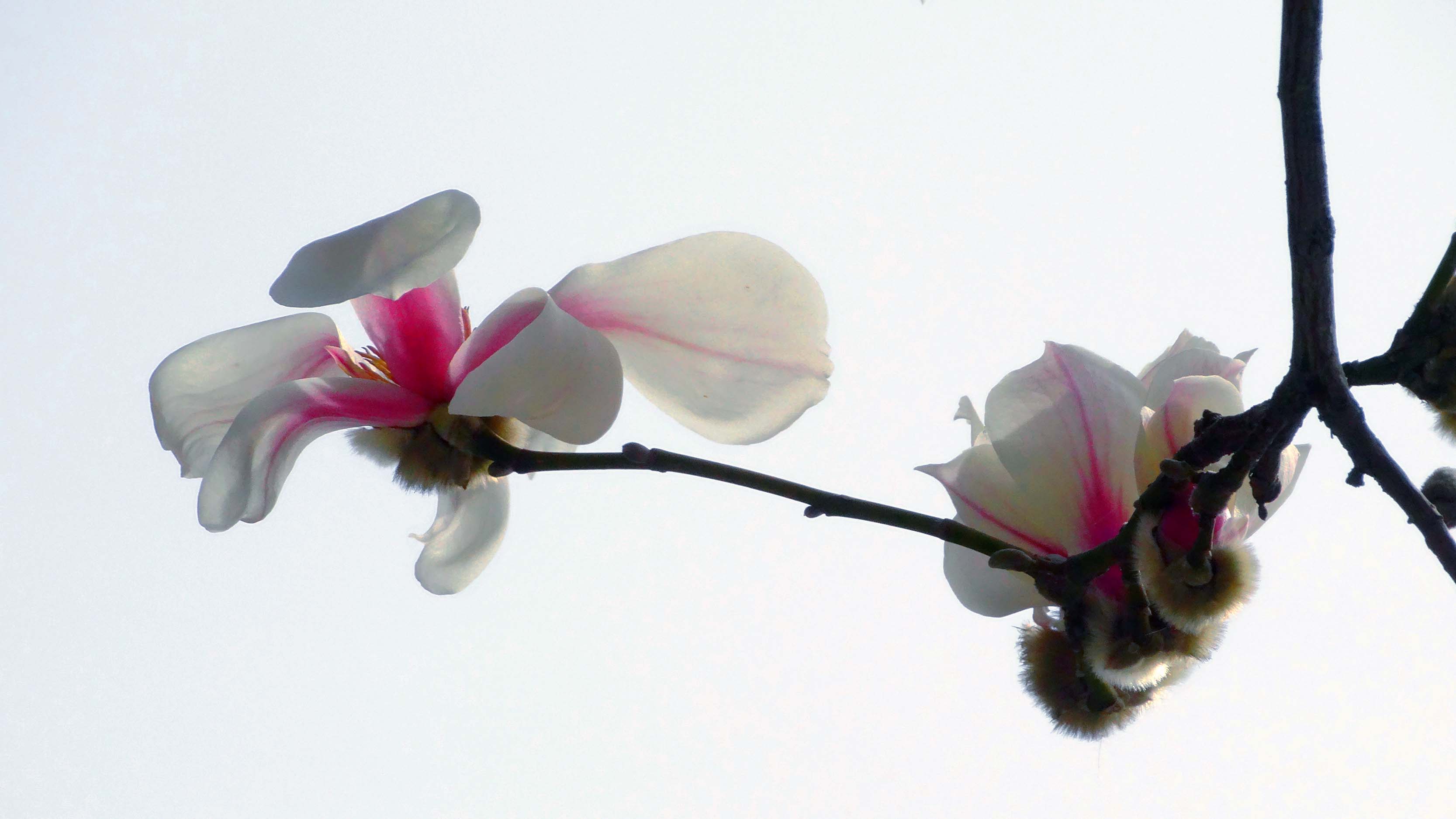 �������� (8).jpg