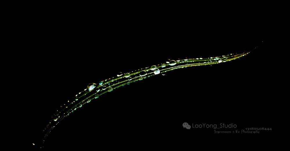 ӡ��������Ӱ