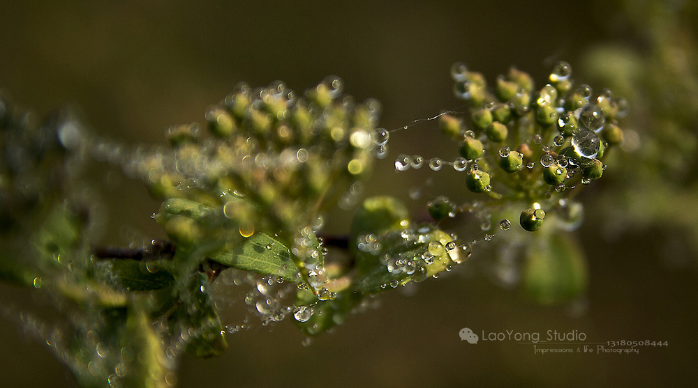 ӡ��������Ӱ