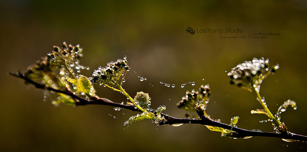 ӡ��������Ӱ