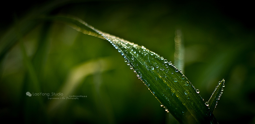 ӡ��������Ӱ