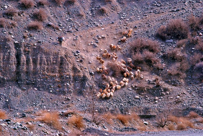 ��Ƭ 097_����.jpg